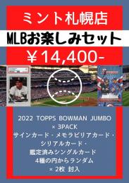 【札幌店】MLBお楽しみセット F【宅急便配送のみ】【4セット限定】残:2