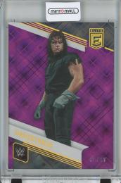 2023 DONRUSS ELITE WWE Undertaker Base/Purple/#104【81/99】