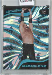 2023 Panini REVOLUTION WWE Diamond Dallas Page Base/Cubic/#113【45/49】