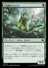 【BLB】【JPN】【Foil】《天気雨のドルイド/Sunshower Druid》