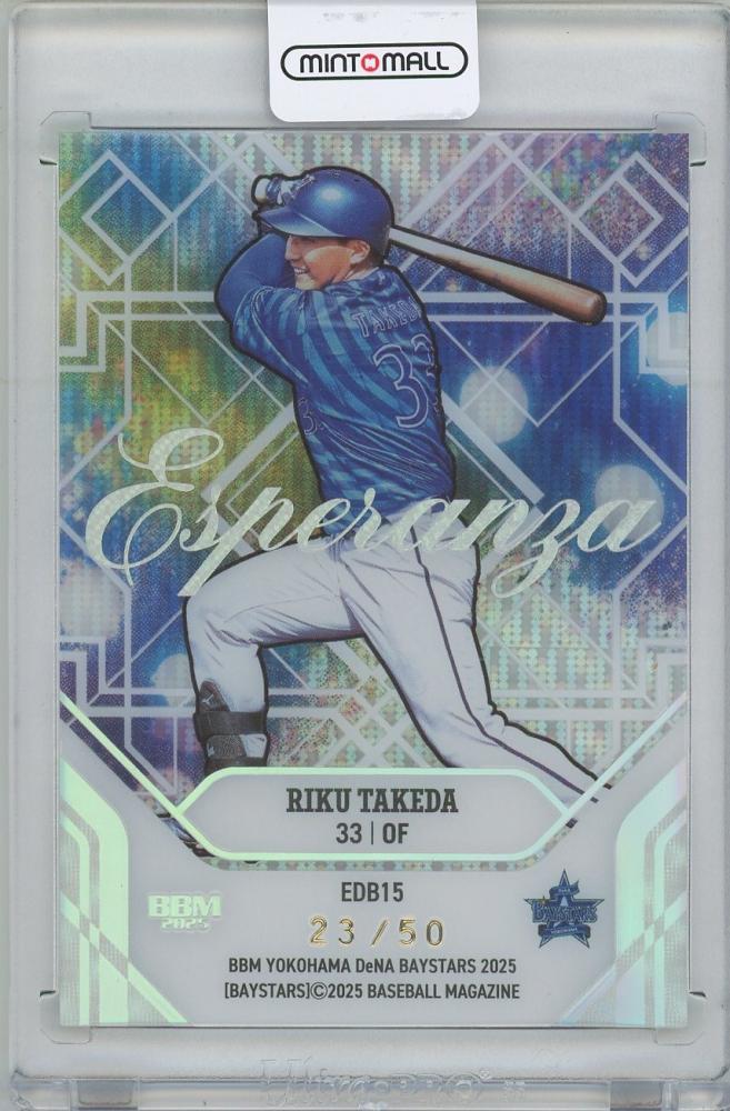 早い者勝ち【美品】7'0 DRUGソフトボード　ベイスターズ ミントモール / MINT 横浜店 / 2025 BBM 横浜DeNAベイスターズ / 武田