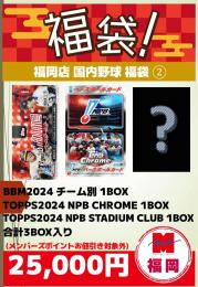 [ポイント使用不可]2025 国内野球 福袋②[要注意事項]
