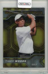 2023 UPPER DECK Goodwin Champions Platinum Tortoise Shell #P2  Tiger Woods 【91/149】