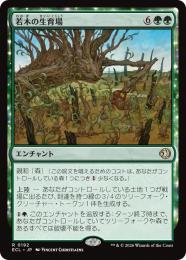 ◆予約◆【ECL】【JPN】〈192-R-G〉《若木の生育場/Sapling Nursery》