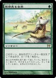 【CHK】【JPN】【Foil】《垣間見る自然/Glimpse of Nature》 PLD