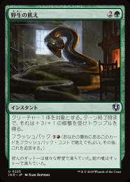 【INR】【JPN】【Foil】〈225-U-G〉《野生の飢え/Wild Hunger》