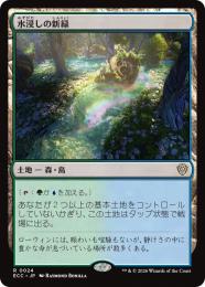 【ECC】【JPN】〈024-R-L〉《水浸しの新緑/Sodden Verdure》