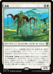 【ECC】【JPN】〈005-R-W〉《帰属/Belonging》