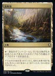 ●SALE●【CLB】【JPN】《反射池/Reflecting Pool》 EX