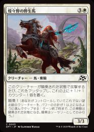 【DFT】【JPN】〈005-C-W〉《煌々野の野生馬/Brightfield Mustang》