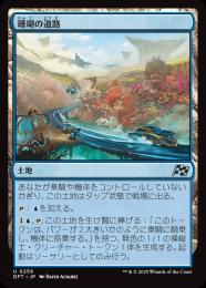 【DFT】【JPN】〈259-U-L〉《珊瑚の道路/Reef Roads》