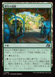 【DFT】【JPN】〈269-U-L〉《野生の道路/Wild Roads》