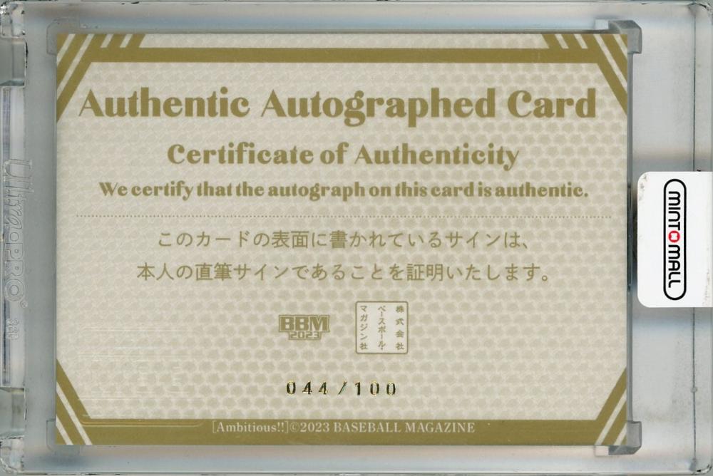 BBM 2023 Ambitious !! 箔 サイン カード セット BBM 女子プロレス スペシャルカードセット 2023 AMBITIOUS