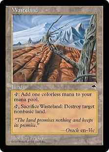 不毛の大地 不毛の大地 [TMP] 【BIGWEB | MTG】日本最大級の激安カード