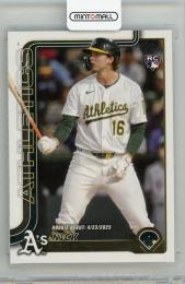 Dick Van Straalen 6'4　ミントグリーンティント Dick Van Straalen 6´4 ミントグリーンティント