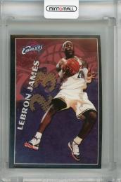 2009-10 Panini Stickers LeBron James #376 Cleveland Cavaliers