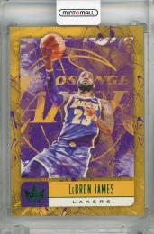 2018-19 Panini Court Kings LeBron James Jade #67  Los Angeles Lakers