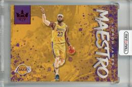 2019-20 Panini Court Kings LeBron James Maestros Ruby #20【005/149】 Los Angeles Lakers