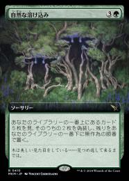 【MKM】【JPN】【Foil】《自然な溶け込み/Hide in Plain Sight》拡張アート版