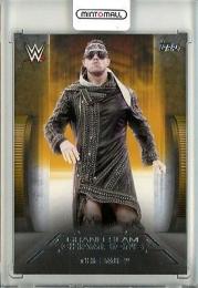 2021 TOPPS WWE Undisputed  The Miz Base Orange 07/10