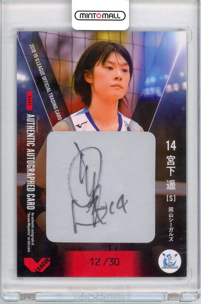 希少】The IVY TERUYOSHI HAYASHIDA サイン入り 希少】The IVY