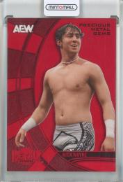2025 SkyBox Metal Universe AEW Nick Wayne Precious Metal Gems Red #19【049/100】