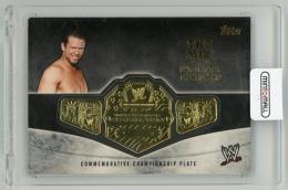 2014 TOPPS WWE Championship Belt Card The Miz