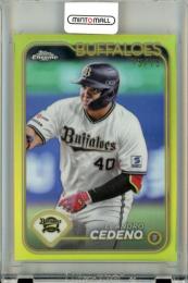 2024 TOPPS NPB CHROME ベースボールカード レアンドロ・セデーニョ #113 Yellow Refractors【75/75】《ラストナンバー!》 オリックス
