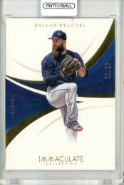 2018 Panini Immaculate Collection  Dallas Keuchel Base 45/99