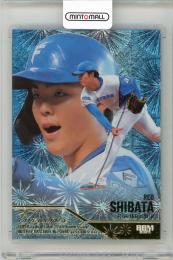 2025 BBMカード35周年&週刊ベースボール4000号記念 柴田獅子 FIREWORKS 金箔版【066/300】 北海道日本ハムファイターズ