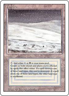 マジック：ザ・ギャザリング Tundra poor ミントモール / MINT GAMES MTG(東日本橋) / 【3ED】【ENG