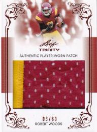 2013 Leaf Trinity Cincinnati Bengals Robert Woods Jumbo Patch Bronze 03/60