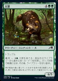 【NEO】【JPN】《大狸/Greater Tanuki》