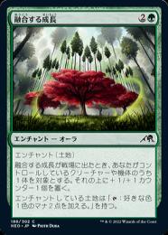 【NEO】【JPN】【Foil】《融合する成長/Grafted Growth》