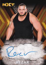 2017 Topps WWE NXT  Rezar Autographs Bronzeパラレル版 78/99