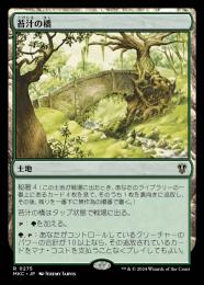 【MKC】【JPN】〈275-R-L〉《苔汁の橋/Mosswort Bridge》