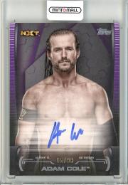 2021 TOPPS WWE Undisputed  Adam Cole Superstar Roster Autograph Purple 65/99
