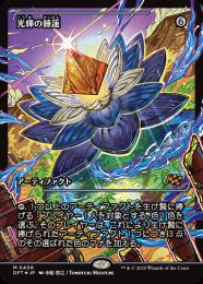 ミントモール / MINT GAMES MTG(東日本橋) / 【DFT】【JPN 