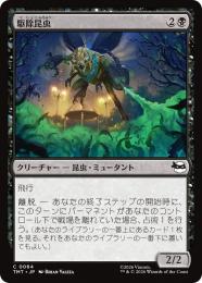 【TMT】【JPN】【Foil】〈064-C-B〉《駆除昆虫/Insectoid Exterminator》