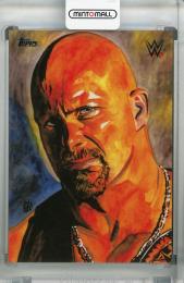 2021 Topps WWE Undisputed  Stone Cold Steve Austin Rob Schamberger Illustration