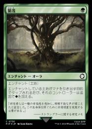 ミントモール / MINT GAMES MTG(東日本橋) / 【DMR】【JPN