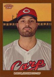 2023 TOPPS 206 NPBプロ野球 #14 R.マクブルーム(広島)【Brown Border/パラレル版】レギュラーカード