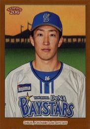 2023 TOPPS 206 NPBプロ野球 #33 大貫晋一(横浜DeNA)【Brown Border/パラレル版】レギュラーカード