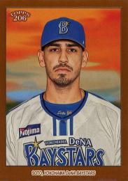 2023 TOPPS 206 NPBプロ野球 #105 N.ソト(横浜DeNA)【Brown Border/パラレル版】レギュラーカード