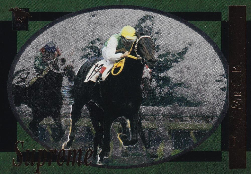 1998 競馬カード ミントモール / MINT 浦和店 / BANDAI 1998 競馬カード