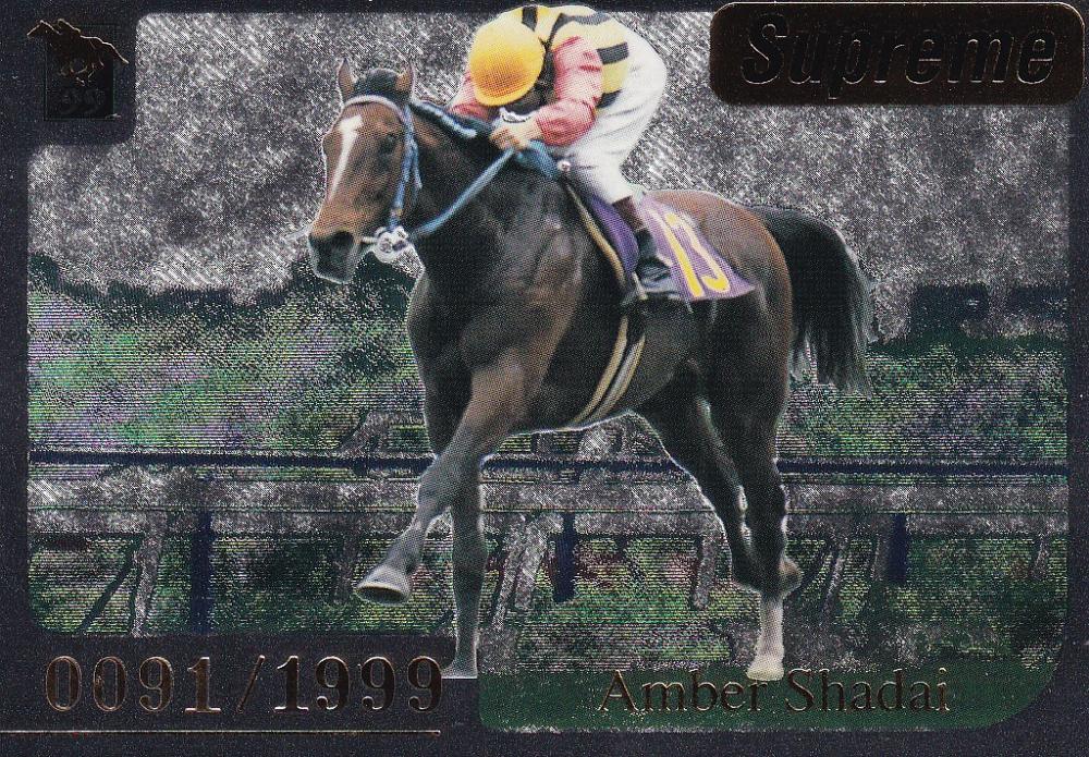 ミントモール / MINT 浦和店 / BANDAI 1999 競馬カード
