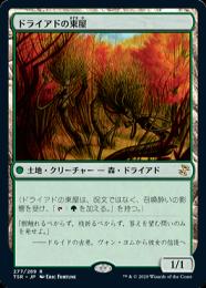 【TSR】【JPN】《ドライアドの東屋/Dryad Arbor》