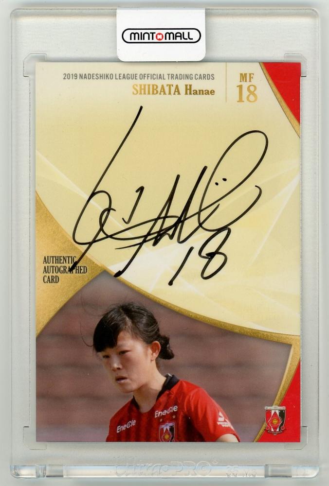 2025 浦和レッズ トレーディングカード 直筆サインカード 柴田華絵