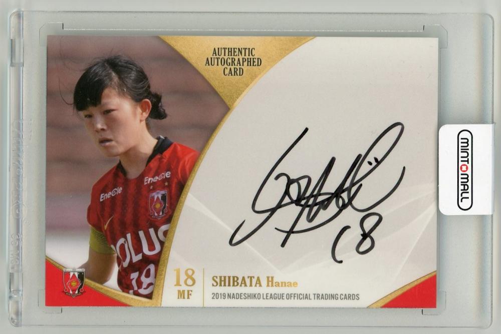 2025 浦和レッズ トレーディングカード 直筆サインカード 柴田華絵