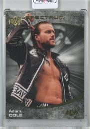 2021 Upper Deck AEW Spectrum All Elite Wrestling  Adam Cole Base/Dark/#59 56/99